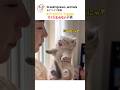 本気で拒否してるのに 全く伝わらない 子猫