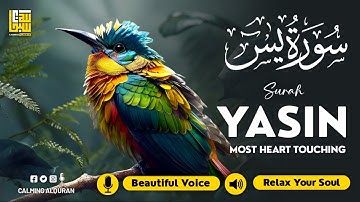 Relaxing Surah Yasin for Sleep, Depression, & Anxiety ✦ Peaceful Quran Surah Yaseen سورة يس ✦ Hejazi