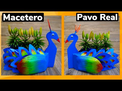 Video: Cómo Hacer Un Pavo Real Con Botellas De Plástico