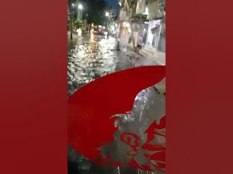 holi chowk sangam vihar navigator