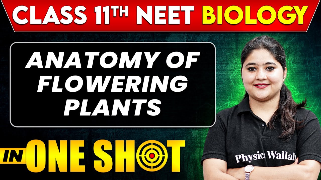 ANATOMY OF FLOWERING PLANTS in One Shot | Class 11th + NEET Biology|All ...