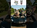 Hilarious Crash! Spike Bulldog & Tom's Lamborghini Test Drive Gone Wrong ππ₯
