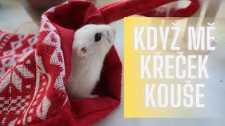 Co dělat, když mě křeček kouše | FAQ= časté otázky