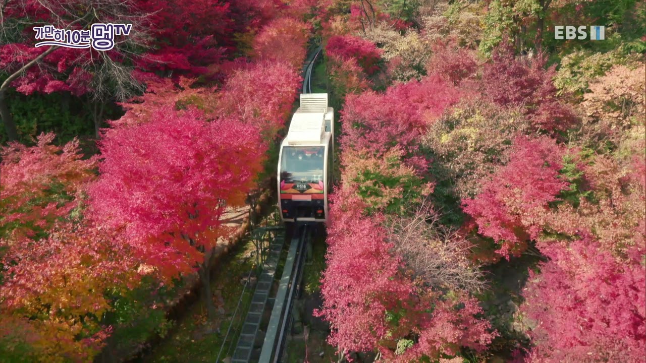 가만히, 10분 멍TV - 화담숲 모노레일