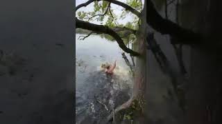 Man Climbing Tree Falls Into Water When Branch Breaks - 1502325