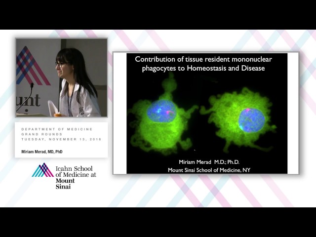 Contribution of Tissue Resident Mononuclear Phagocytes to Homeostasis and Disease