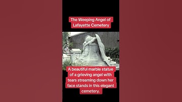 New Orleans Cemetery part 3 #grave #cemeteryghost #shorts
