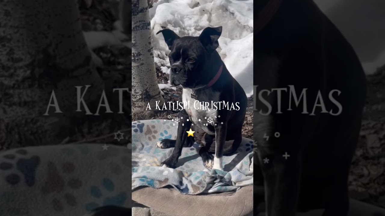 WindyGirk Mery christmas coming soon⭐️🎄💕‼️ 