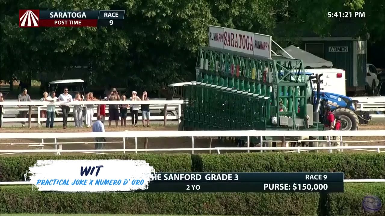 First-crop Sires: Wit for Practical Joke Thumbnail