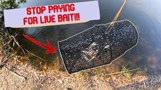 STOP PAYING FOR LIVE BAIT! How To Catch Wild Shiners!