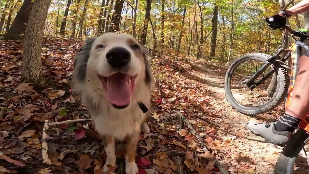 Raystown Adventure 2025