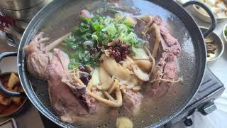 boiled chicken soup w/ rice (dakbaeksuk ,팔공산 대한수목원 백숙)