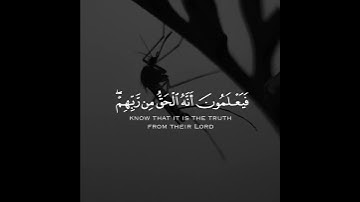 تلاوة هادئة 🤍 للقارئ الشيخ ياسر الدوسري سورة البقرة || Surah Al-Baqarh