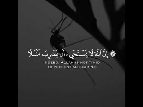 تلاوة هادئة للقارئ الشيخ ياسر الدوسري سورة البقرة Surah Al Baqarh
