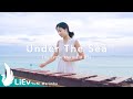 [2k][LiEv]The Little Mermaid(Soundtrack) - Under The Sea | by. YUNI Marimba