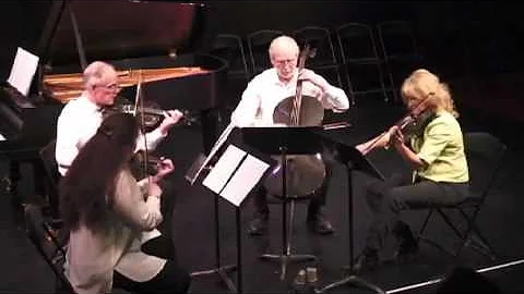 Carbon Fiber String Quartet by Lisa Ralia Heffter