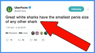 I Trolled A Twitter Account With 14 Million Followers