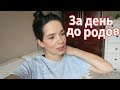 VLOG: За день до родов / Больше не будет влога с животом