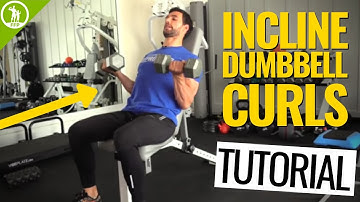 Incline Dumbbell Curl Tutorial For Sleeve Busting Arms