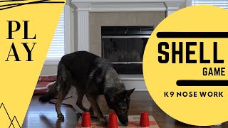 Scent Games for Dogs (K9 Nose Work)