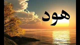 ما تيسر من سورة هود للحافظ وليد ابراهيم (جودة عالية)