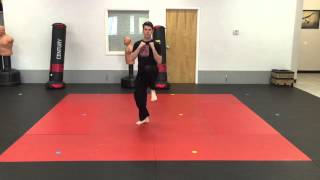 Form B - Segment 1 (4 Moves)