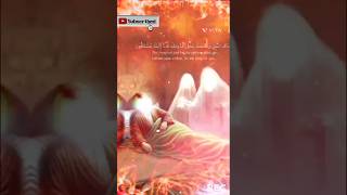 sitaron ki chamak mein Islamic video 🕋🥀🕌#trending #Islamic #shots#Hussain #Ali