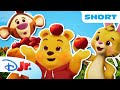 Pooh Bear, Tigger, and Rabbit Go Apple Picking! 🍎🧡 | Playdate with Winnie the Pooh | ⁨@disneyjr