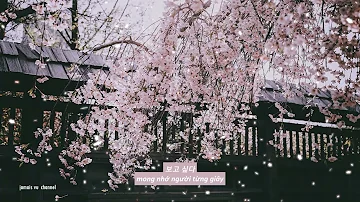 [Vietsub] 봄날 (Spring day) - 방탄소년단 | Lyrics video