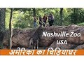 Nashville (USA) Zoo Tour 2017 in Hindi| अमेरिका का चिड़ियाघर