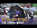 장마전선 다시 밀려 올라온다 주말 250mm 물폭탄 SBS 장마전선 다시 밀려 올라온다 주말 250mm 물폭탄 SBS