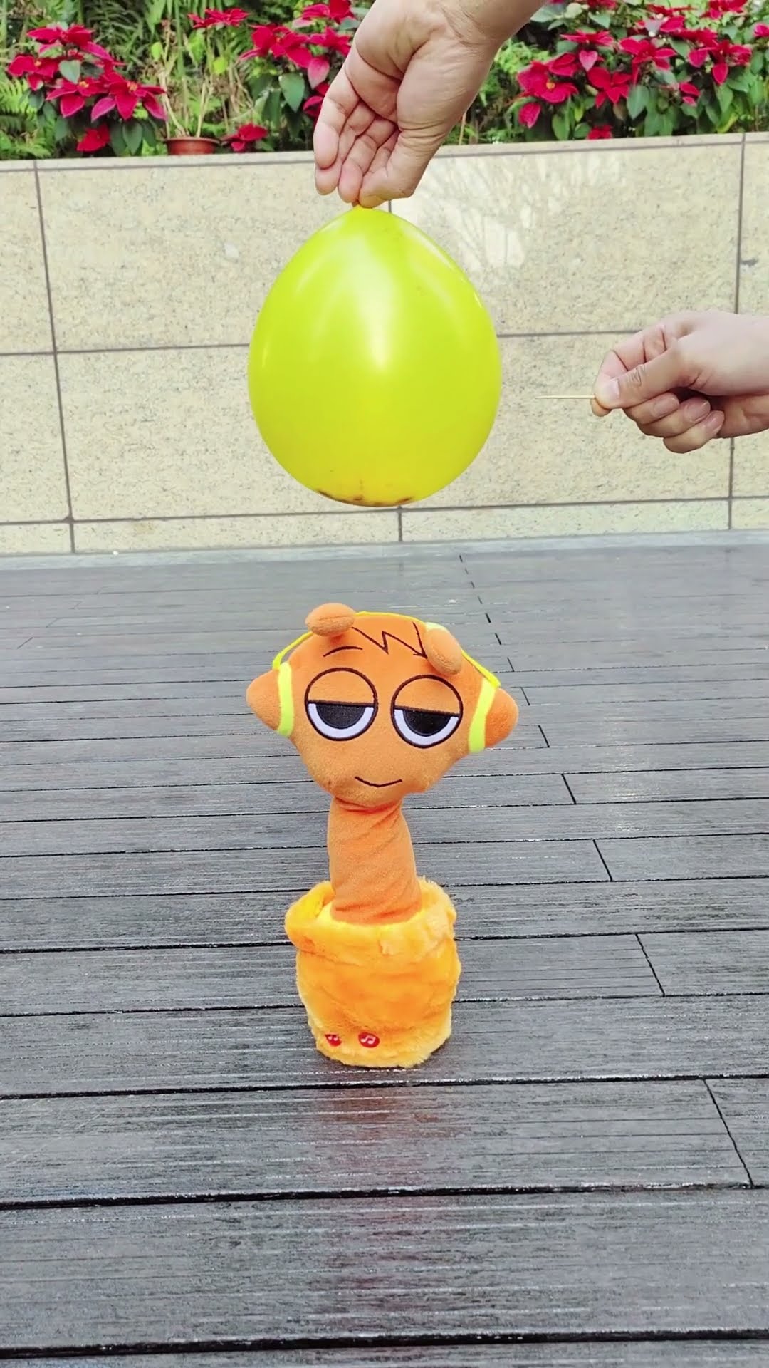 Oren dancing cactus vs Skittles in balloon