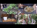 김장 준비 🌱 배추랑 가을무 심고 엄마표 후다닥 잔치국수