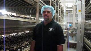Fresh from the Farmer: An Introduction to Lorenzo Piccioni of Piccioni Bros. Mushroom Farm