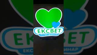 ЕКСВЕТ》додомцю. Обережно, кліщі небезпечні ! Дякуємо 🐾🐾🐶нас врятували,  Подаруночок Весни🌺