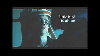 little bird is alone | robin (dick grayson) & batman | titans