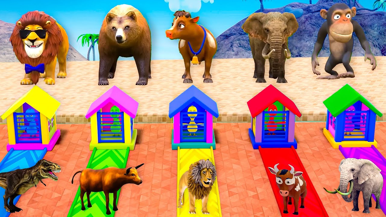 Long Slide Game with Cow Lion Tiger Elephant Bear Monkey 3d Animal Game Funny 3d Animals