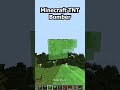 Minecraft TNT Bomber!