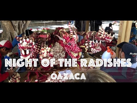 Video: 13 Grunde Til, At Du Aldrig Bør Tage Dine Børn Til Oaxaca, Mexico - Matador Network