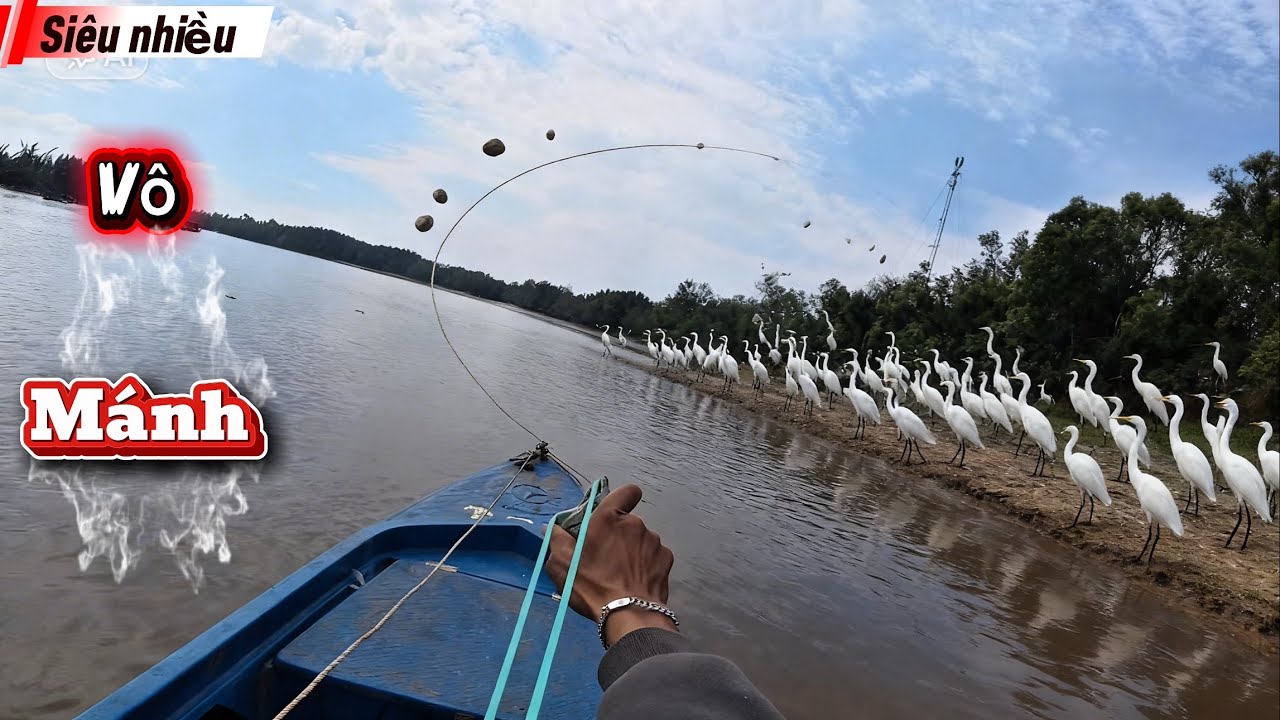 Bắt gặp Đàn cò quá khủng… chọt đại vào đám đông Lụm hàng khủng.