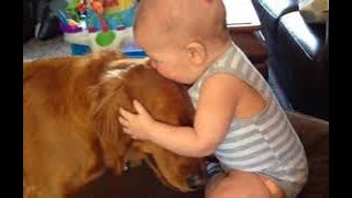 Adorable Babies Playing With Dogs Compilation 2020 | Dogs and Babies by Blank Namer 141 views 3 years ago 5 minutes, 16 seconds