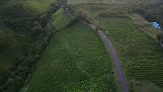 Aerial View At Malino Highlands