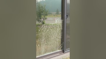 How to Install Reflective Window Film for Maximum Heat Rejection