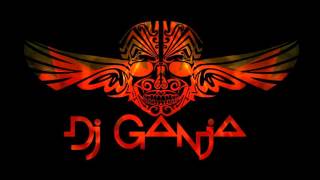 Dj Ganja  Psy News Jan. 16