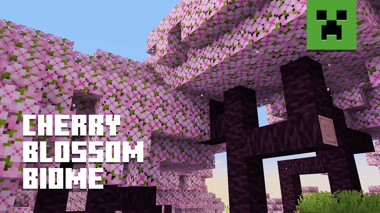 Novo bioma do Minecraft! #minecraft #natysume #bioma #cherryblossom #m