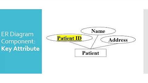 Entity Relationship Diagrams_HAP 709