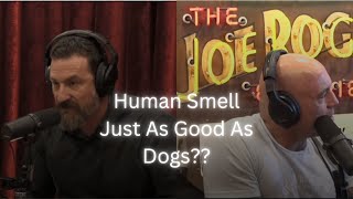 Are Human Noses Underestimated? Huberman & Rogan Break It Down