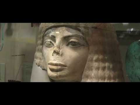 Video thumbnail: Rhinoplasty Technicals by Facial Plastic Surgeon in San Diego, Dr. Amir Karam · DrAmirKaram