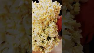 23 Yanvar 2024 Bag Heyati