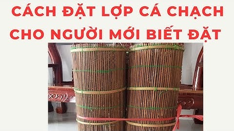 Cách đặt lợp cá chạch cho người mới biết đặt #cachdatlopcachach  ll Zalo 0364117809